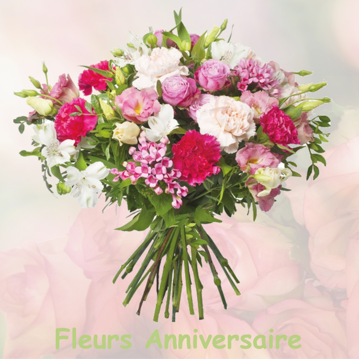 fleurs anniversaire SILLEY-AMANCEY